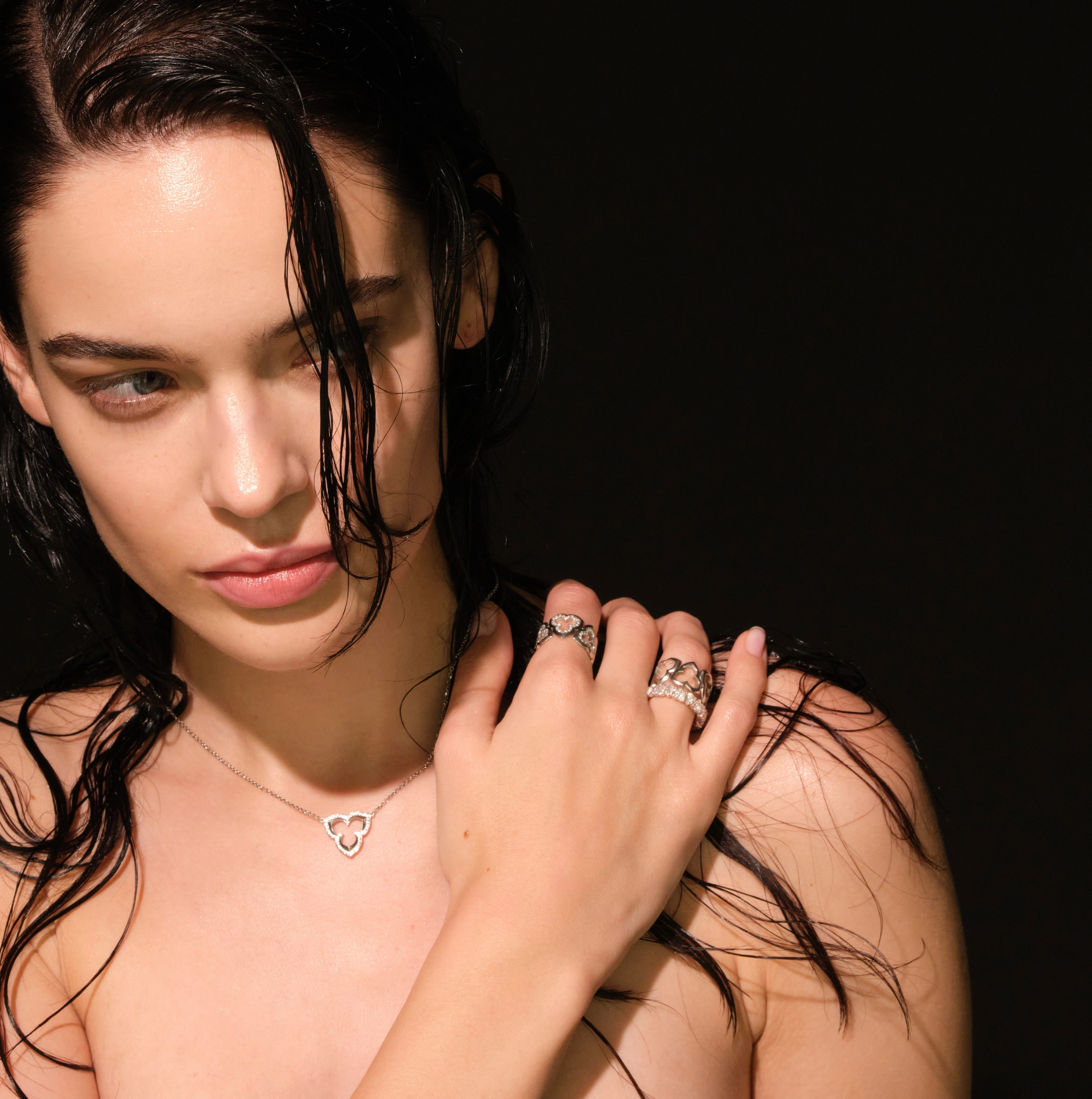 saggita gallery image 2