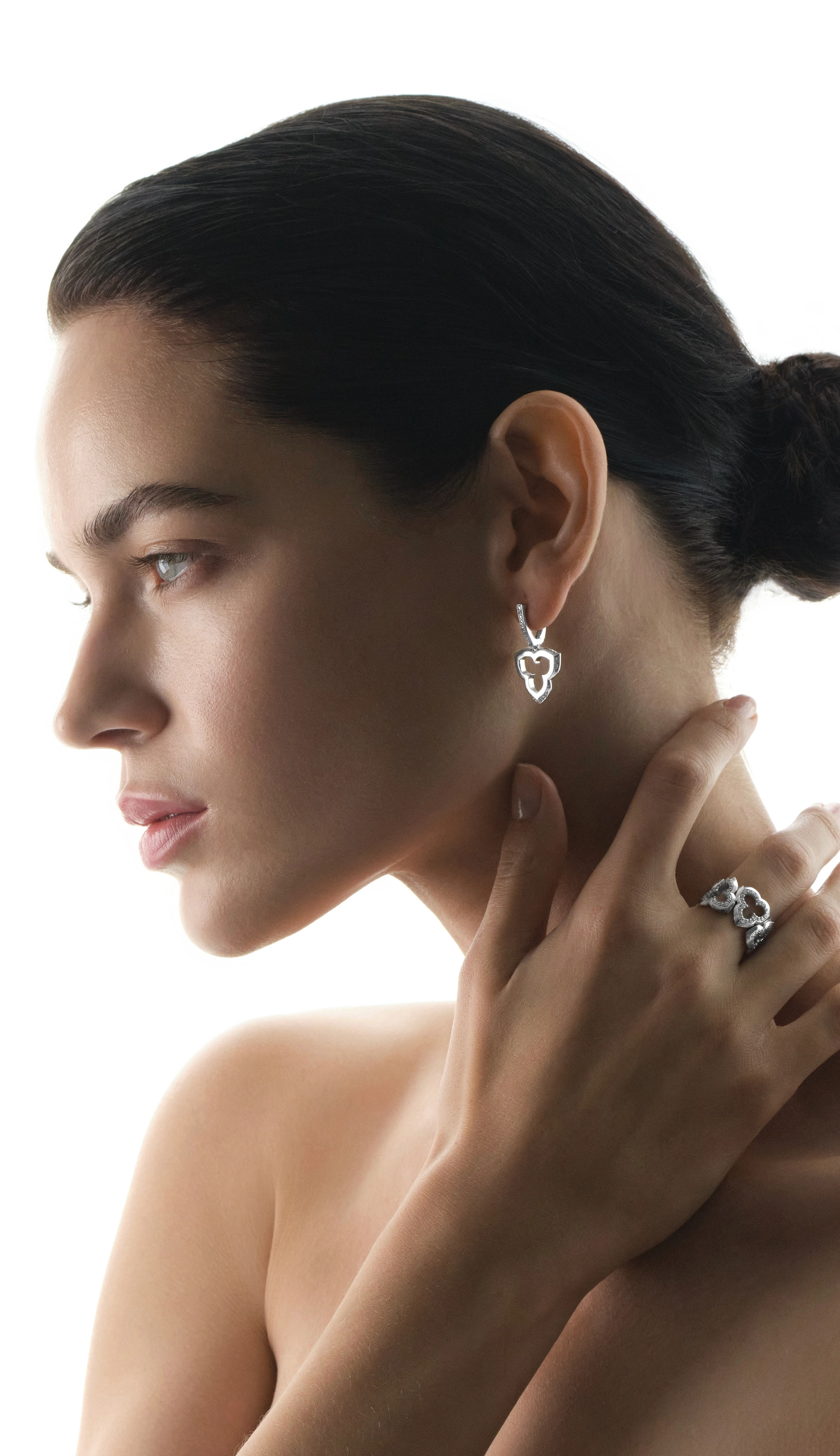 saggita gallery image 3